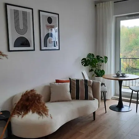 Czarnucha 6 Poznaň